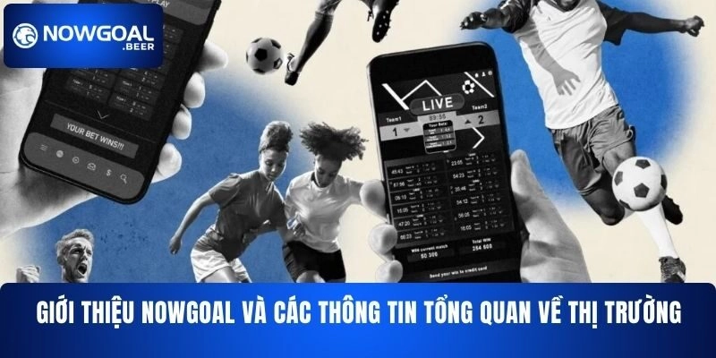 gioi thieu nowgoal va cac thong tin tong quan ve thi truong Giới thiệu NOWGOAL và các thông tin tổng quan về thị trường