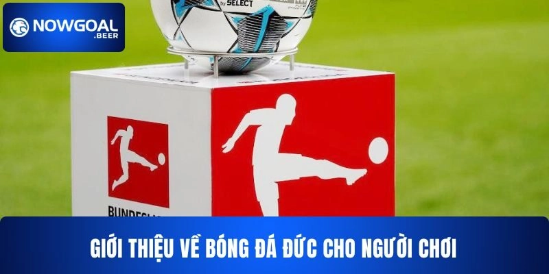keo bong da duc nowgoal gioi thieu doi net Đôi nét về tỷ lệ cược bóng đá Đức cho người chơi