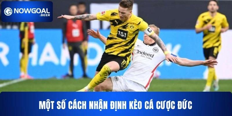 keo bong da duc nowgoal nhan dinh keo hay Một số cách để bạn nhận định kèo cá cược Đức hiệu quả