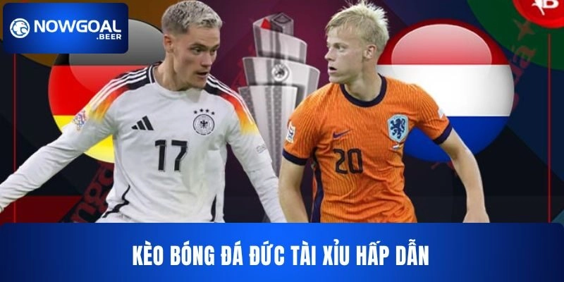keo bong da duc nowgoal tai xiu hap dan Hướng dẫn chơi kèo bóng đá Đức NOWGOAL Tài xỉu cho bạn