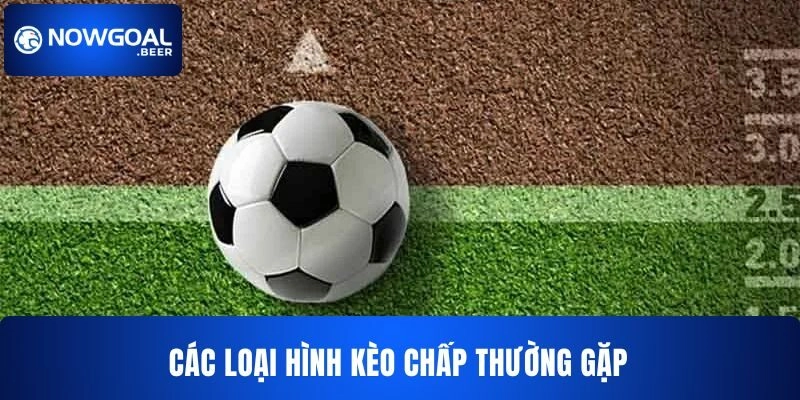 keo chap nowgoal tong hop cac loai Tổng hợp các loại hình kèo chấp NOWGOAL