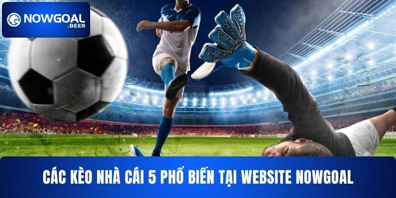 keo nha cai 5 nowgoal cac keo pho bien Các kèo nhà cái 5 phổ biến tại website NOWGOAL