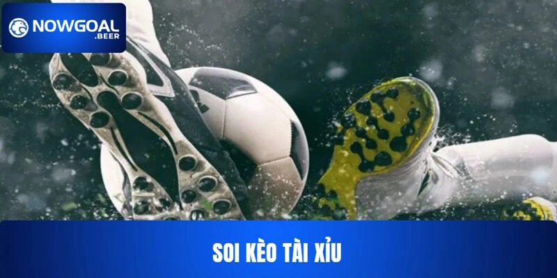 keo tai xiu nowgoal bi quyet chon cua Bí quyết chọn cửa đặt tài xỉu ngon ăn
